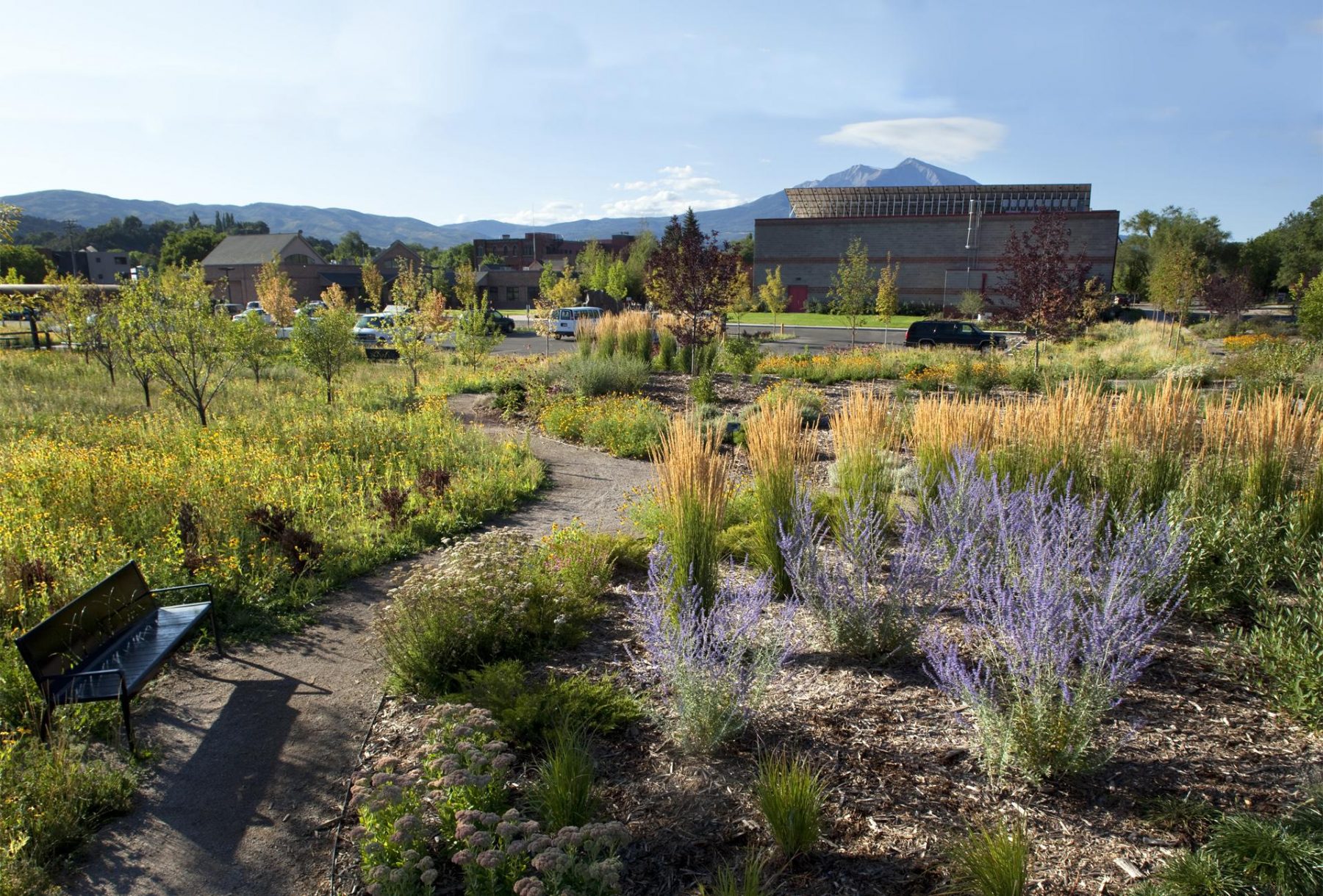 Carbondale Recreation Center Landscape Architecture