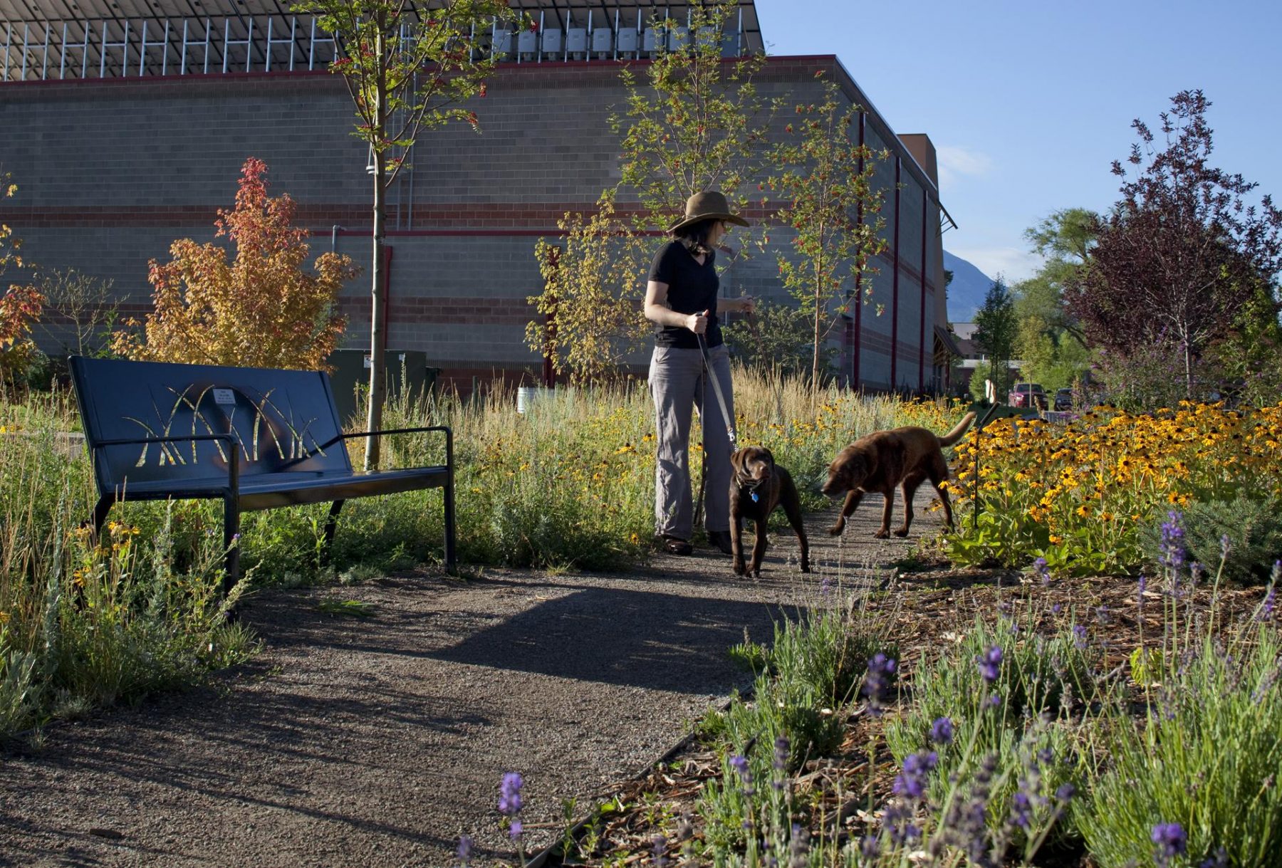 Carbondale Recreation Center Landscape Architecture