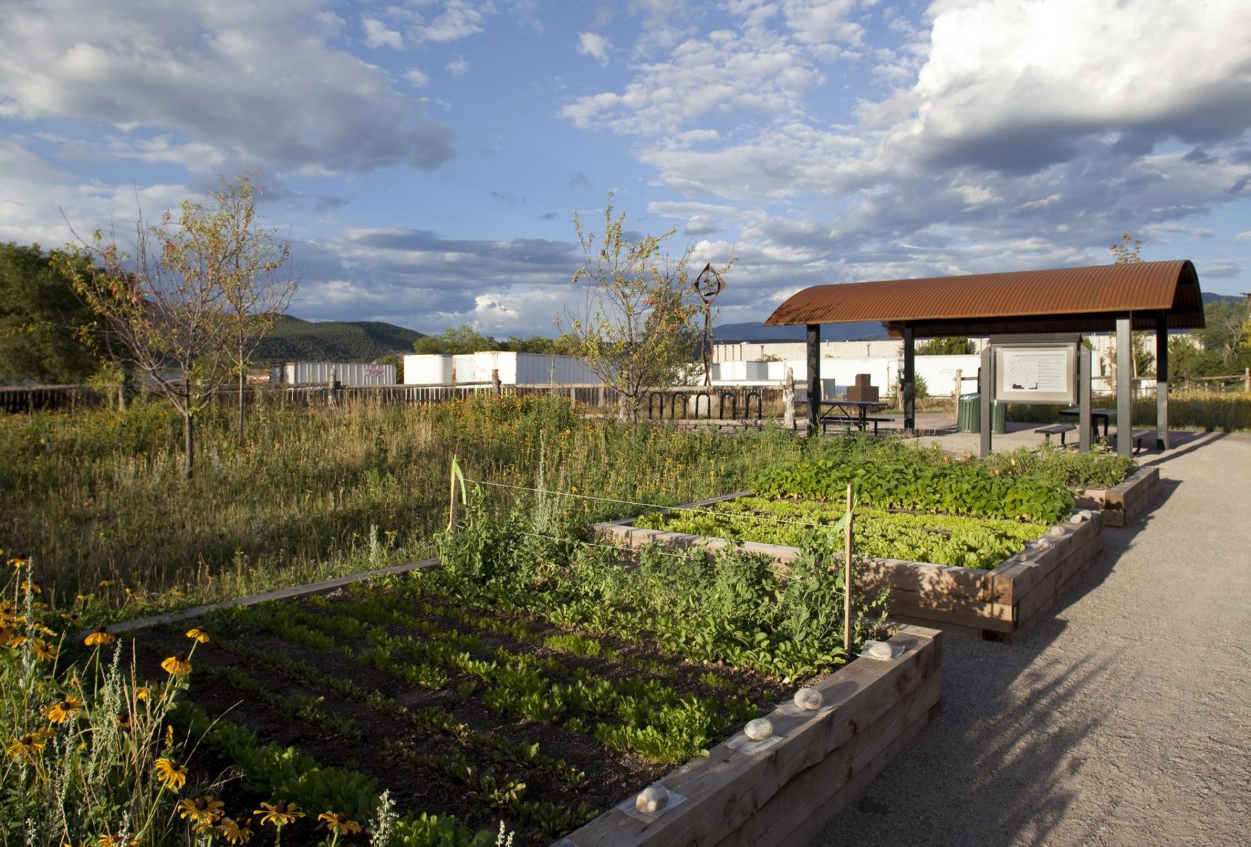 Carbondale Recreation Center Landscape Architecture