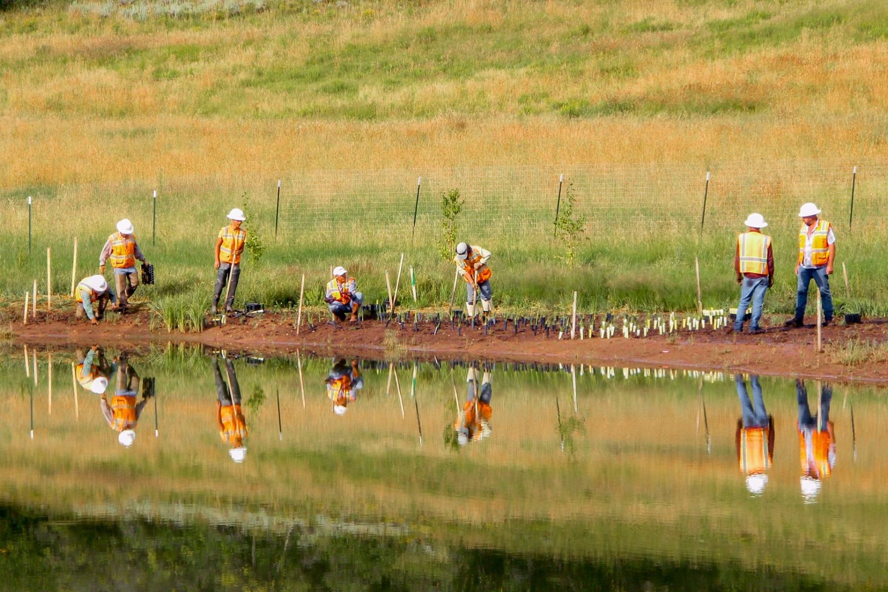 Clear W Ranch Wetland Restoration Planning Construction