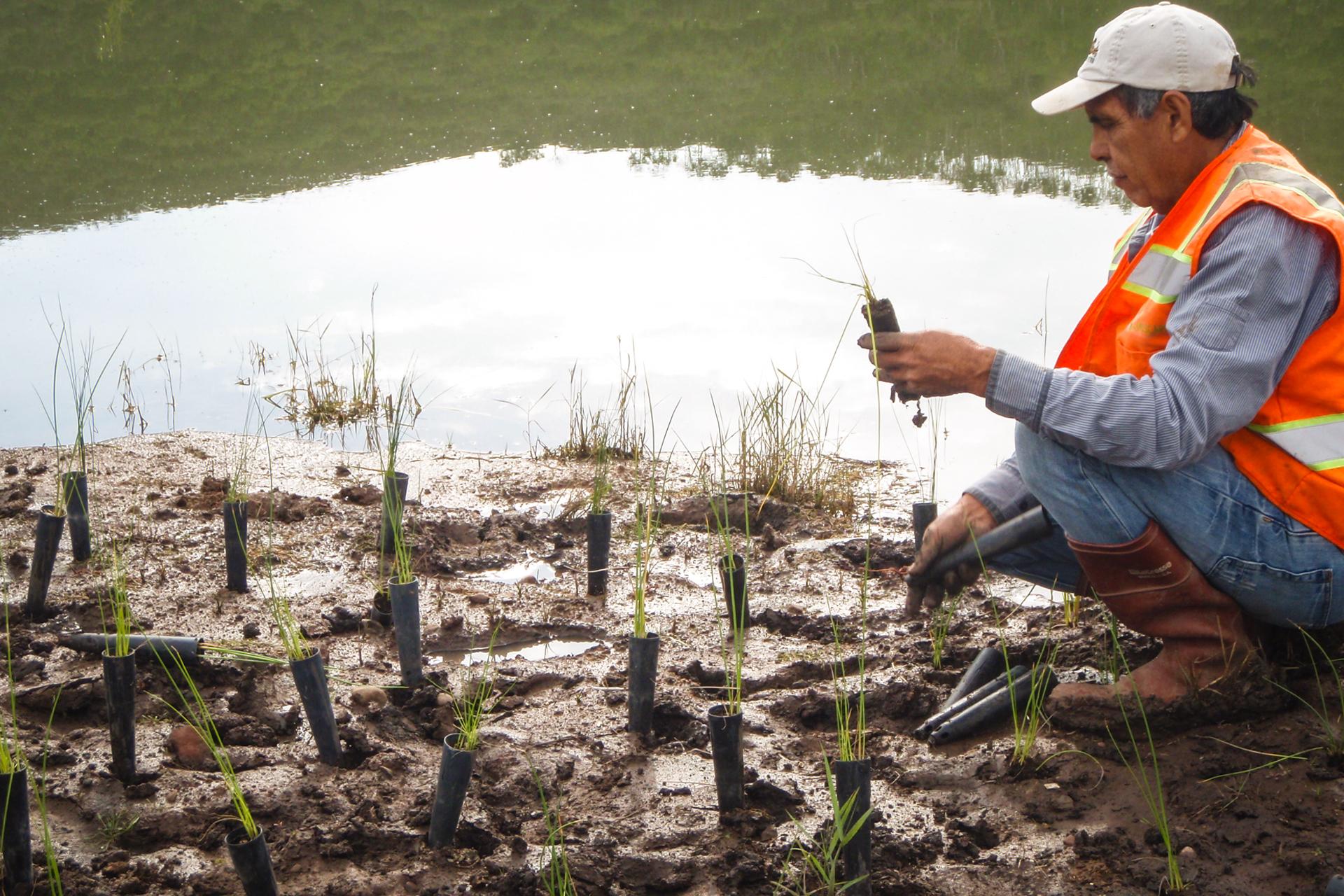 Clear W Ranch Wetland Restoration Planning Construction