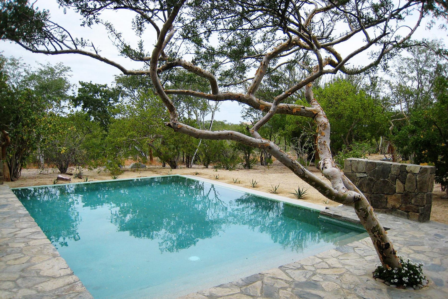 Colina del Sol Landscape Architecture