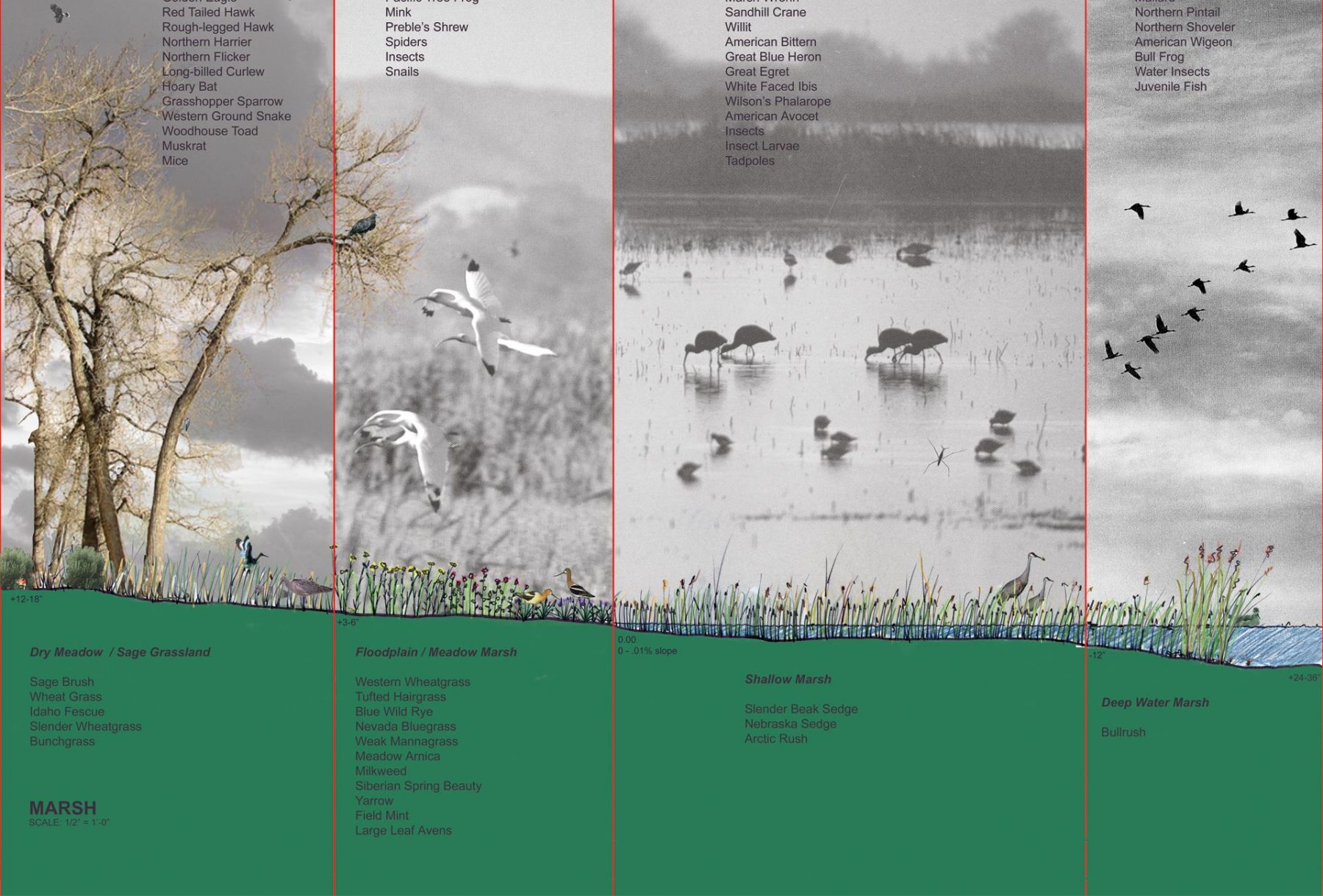 Wildhorse Ranch Site Inventory Analysis Design